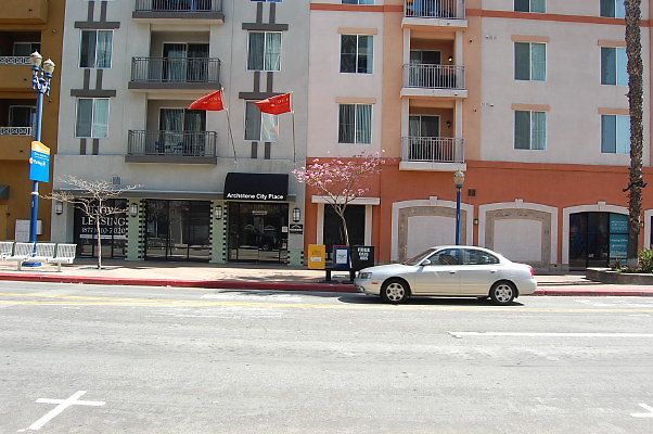 DSC 0016