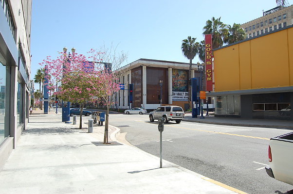 DSC 0008
