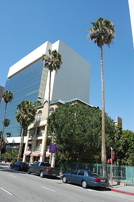 DSC 0066
