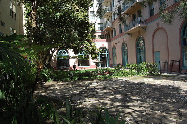 DSC 0100