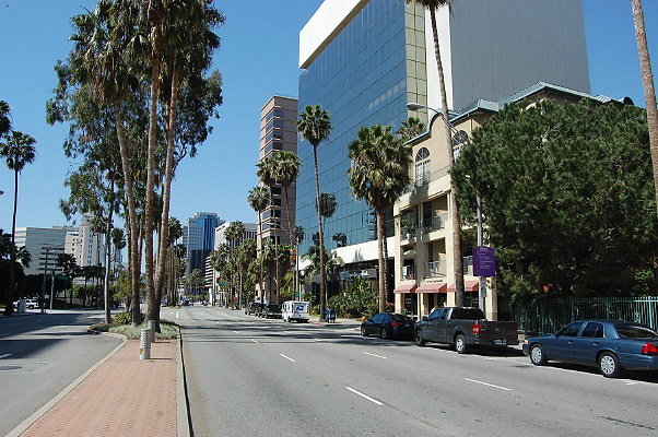 DSC 0063