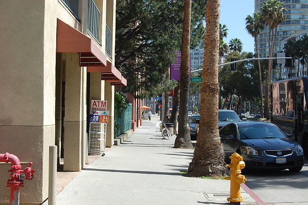 DSC 0080