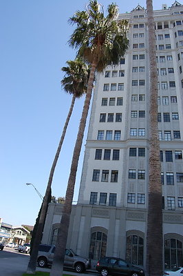 DSC 0066