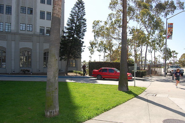 DSC 0065