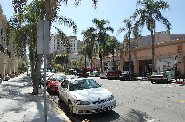 DSC 0050