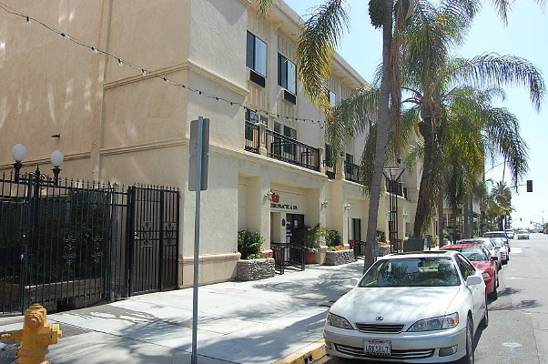 DSC 0049