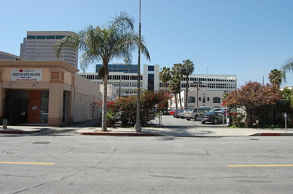 DSC 0051