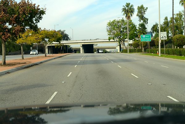 DSC 4461