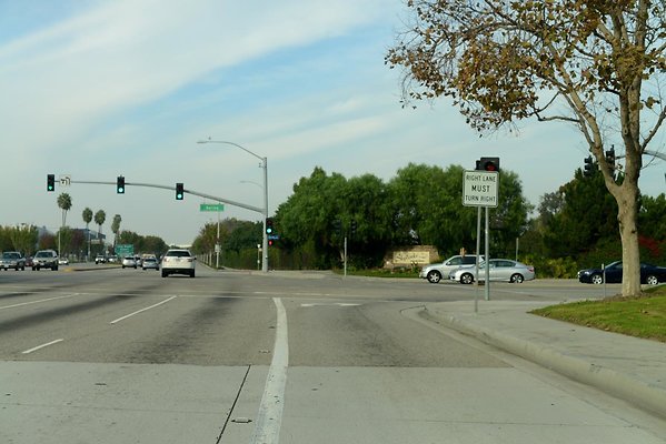 DSC 4480
