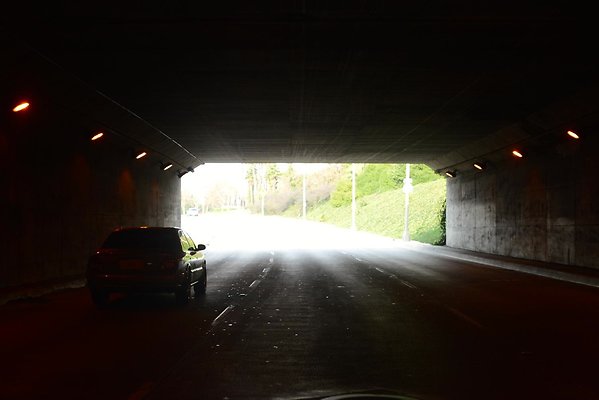 DSC 4477