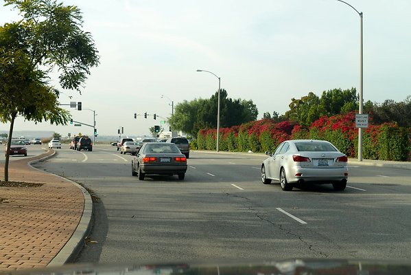 DSC 4397