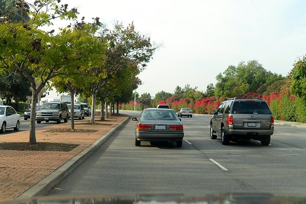 DSC 4396