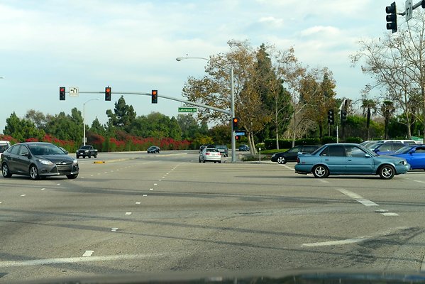 DSC 4433