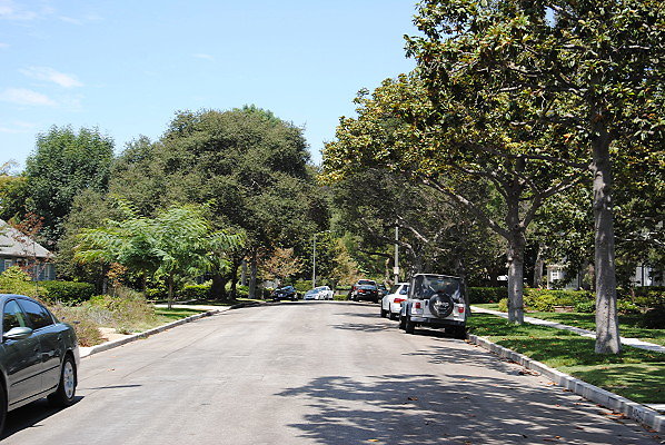DSC 0176