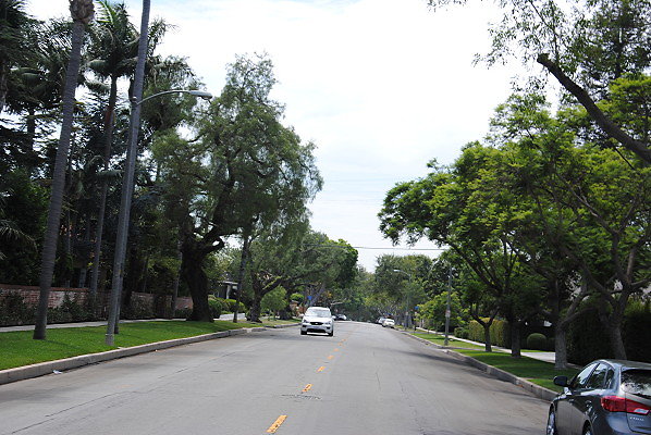DSC 0103