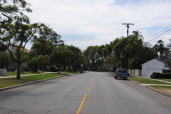 DSC 0098