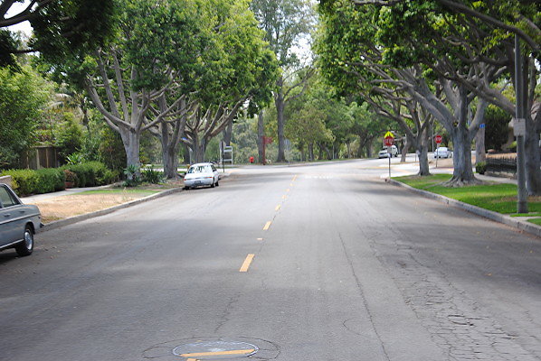 DSC 0111