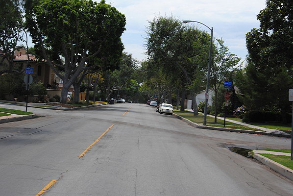 DSC 0106