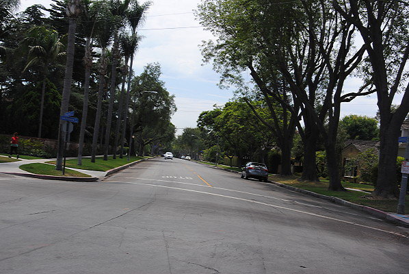 DSC 0102