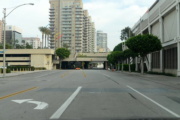DSC 4267