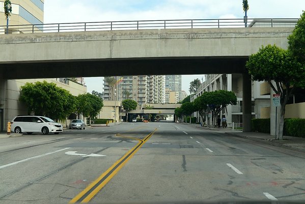 DSC 4265