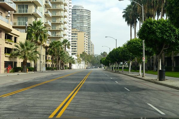 DSC 4275
