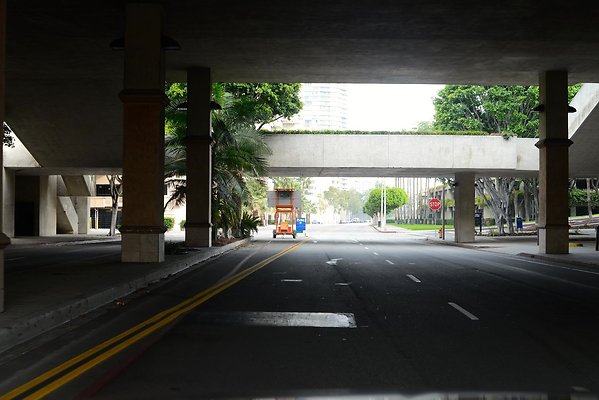 DSC 4271