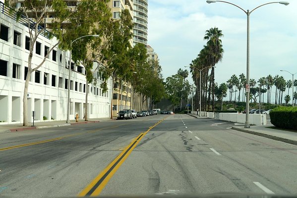 DSC 4278