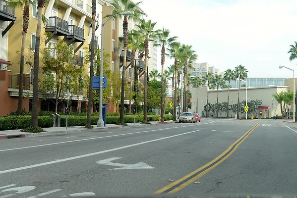 DSC 4261