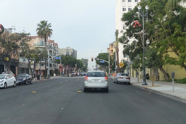 DSC 4575