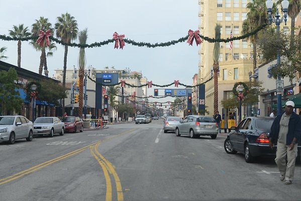 DSC 4562