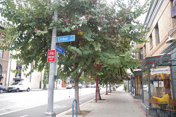 DSC 0088