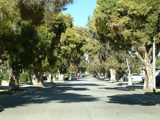 DSCF0095
