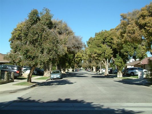 DSCF0089