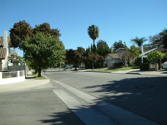 DSCF0099