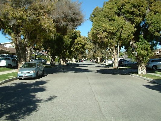 DSCF0094