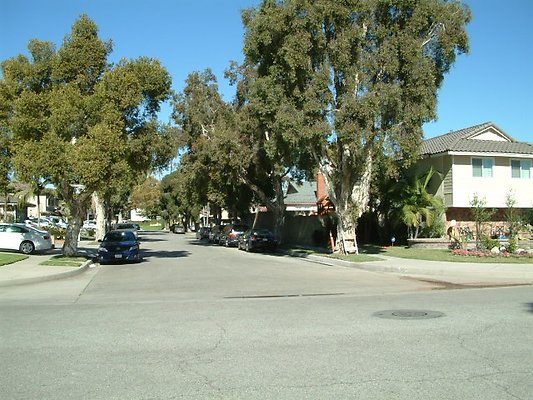 DSCF0105