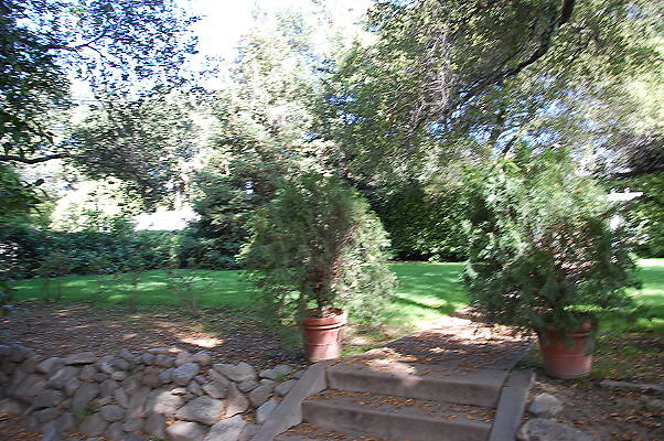 DSC 0013