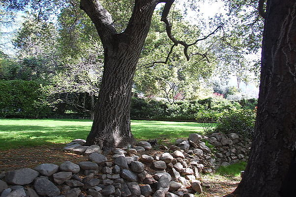 DSC 0014