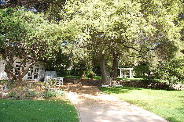 DSC 0026