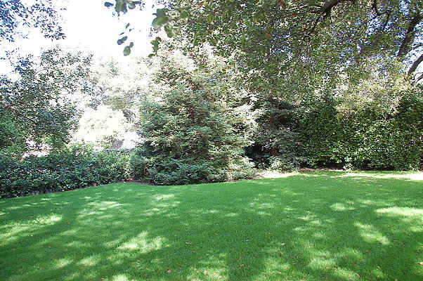 DSC 0015