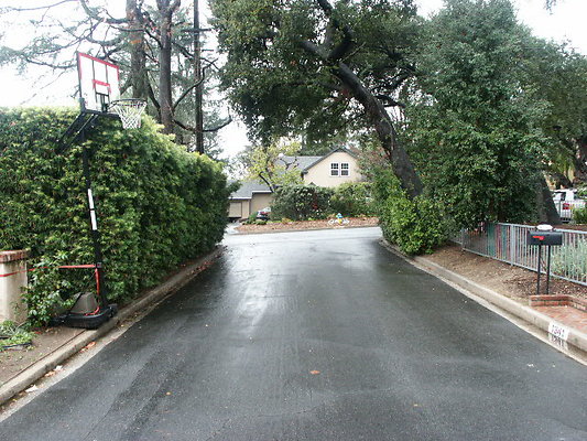 PICT0308