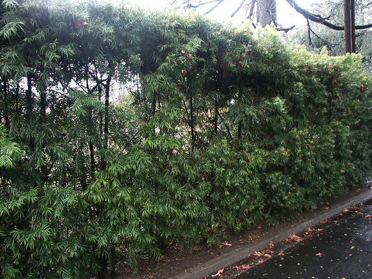 PICT0310