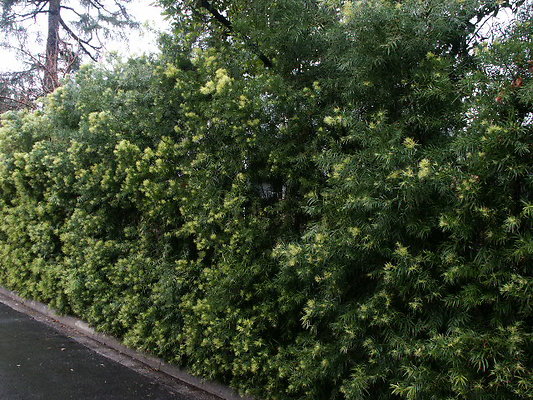 PICT0306