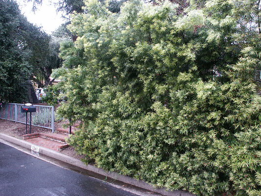 PICT0309