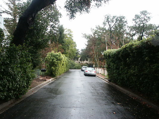PICT0323