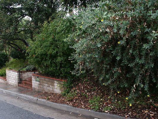 PICT0327