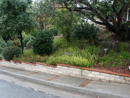 PICT0330