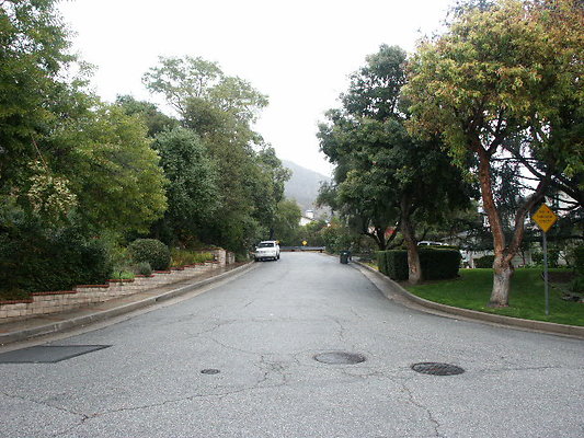 PICT0344