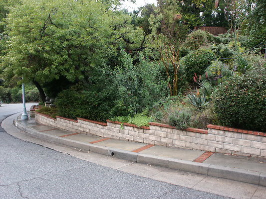 PICT0334